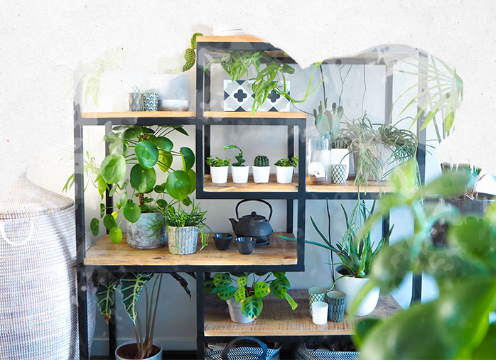 Plantes artificielles intérieur pour aménager et décorer les espaces