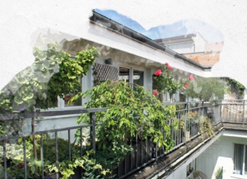 6 idées de brises-vues naturels pour votre jardin, terrasse ou balcon -  Nortene