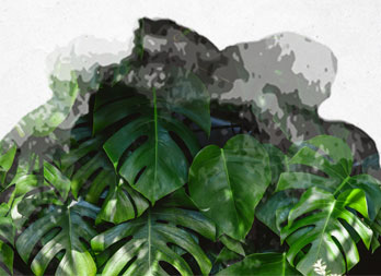 Nortene Tuteur Coco pour plantes grimpantes - Hauteur 1 m