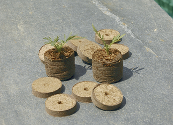 GROW2GO Kit de culture de cactus - Set de plantation de mini-serre