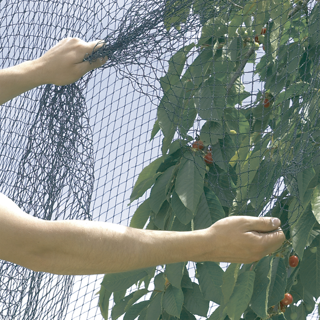 Filet anti-oiseaux pour arbres fruitiers et potager